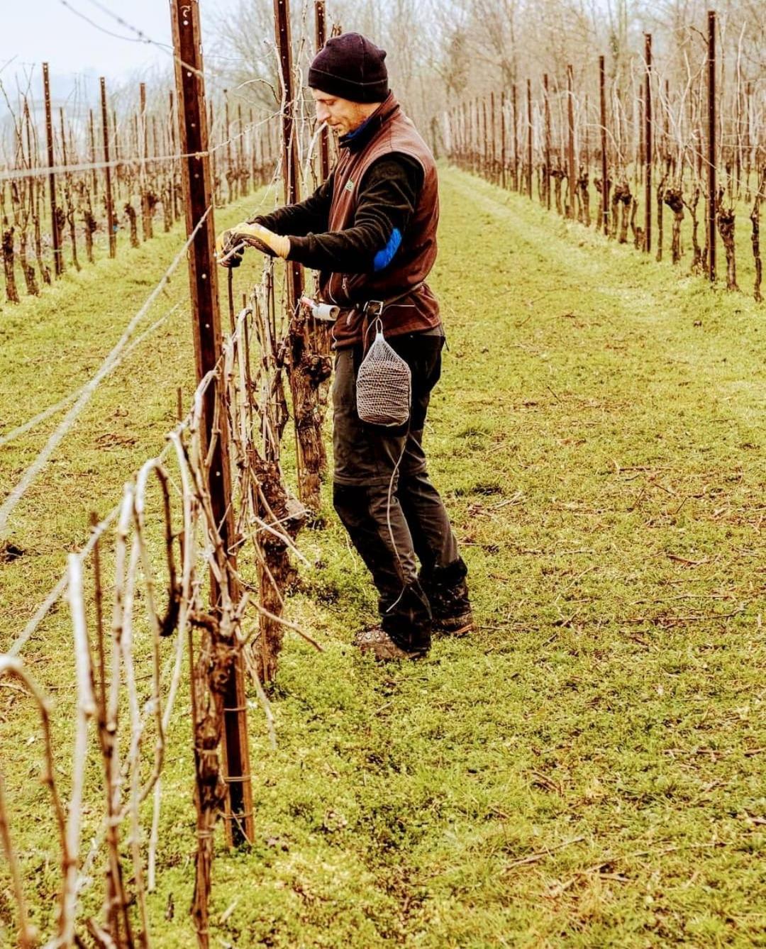 Appartamento Antica Rinaldo Valdobbiadene Esterno foto