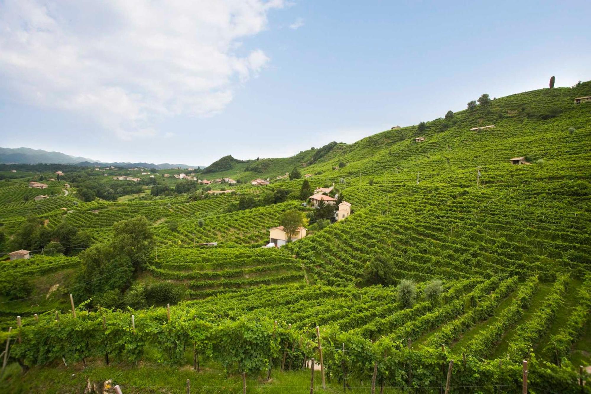 Appartamento Antica Rinaldo Valdobbiadene Esterno foto
